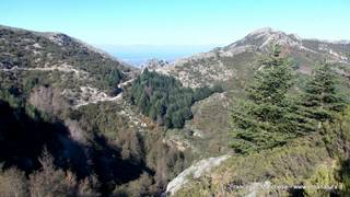 nte Scuderi-23-11-2014 09-48-03